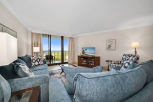 Living View 2