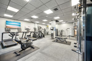 27-print-Gym View 2