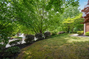 Front Yard