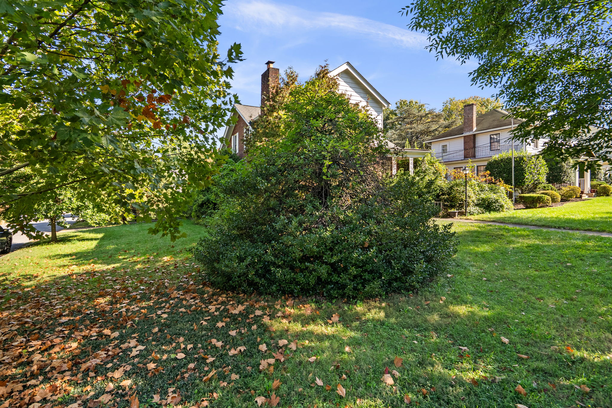 Side Yard