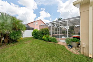 Backyard 1
