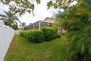 Backyard 3