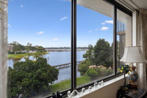 Window Views