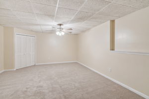  Photo 38
