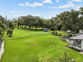 DJI_0113