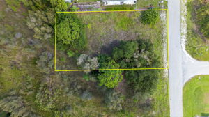 Aerial Overview - lot line
