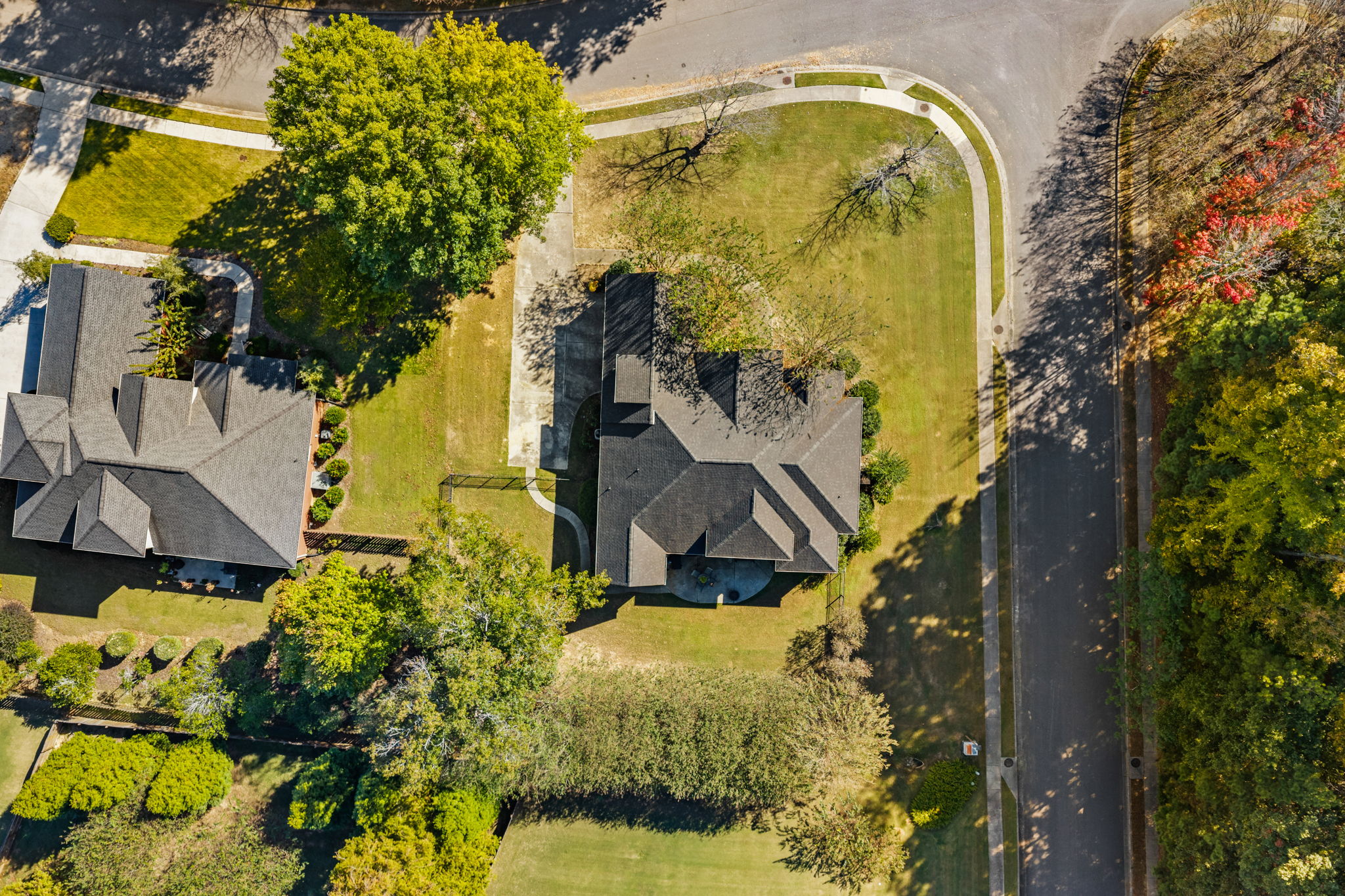  Photo 54