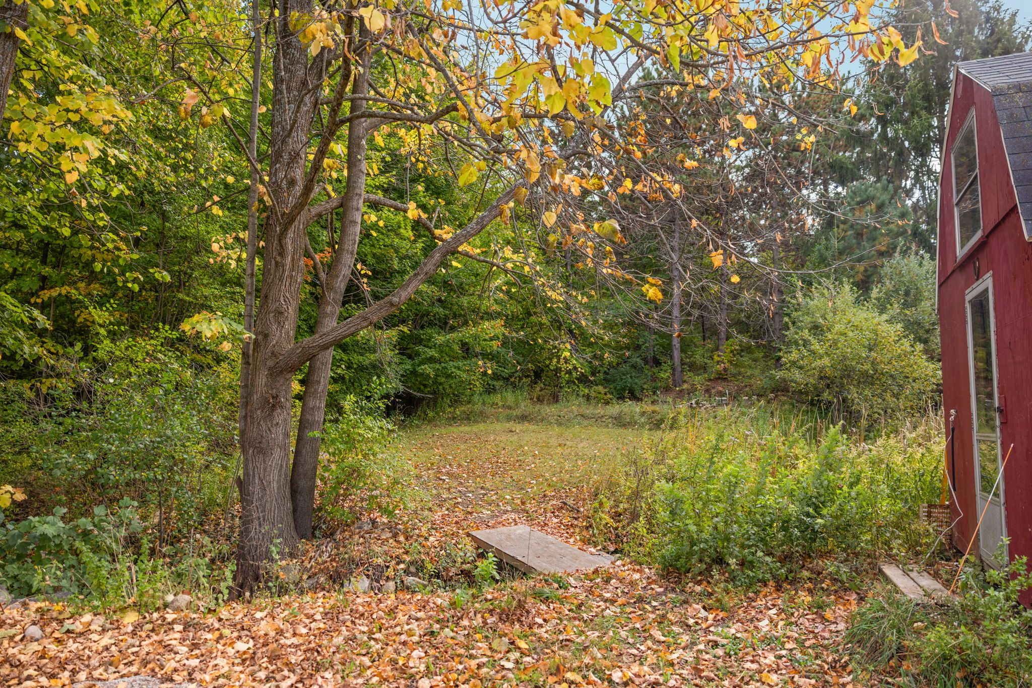  Photo 41