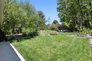  Photo 52