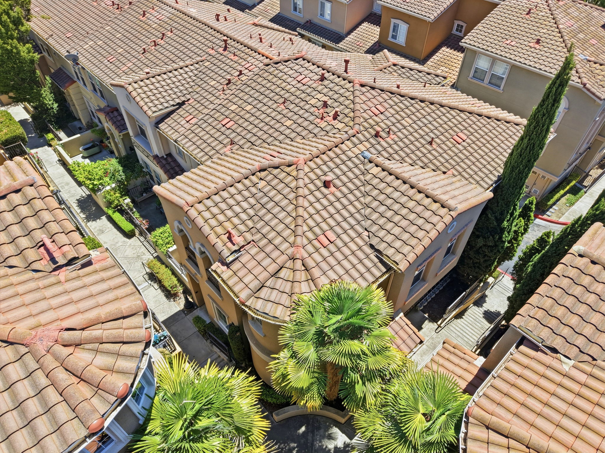 007_F8_AERIAL_441 Casselino Dr