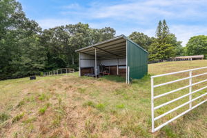 441 Plainfield Rd-42