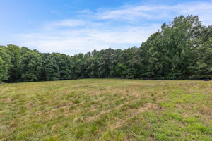 441 Plainfield Rd-43