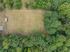 441 Plainfield Rd-54