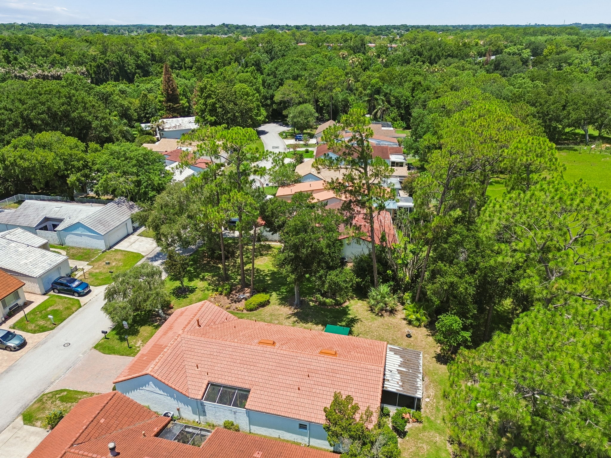 DJI_0286