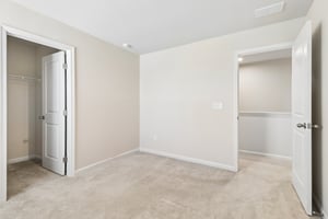 Trade Wind Ln-S1908-021.jpg