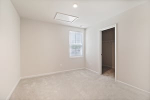 Trade Wind Ln-S1908-020r.jpg