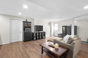 Lower Level - Main Living Area