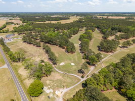 5 Sets of Tees for Any Golfer