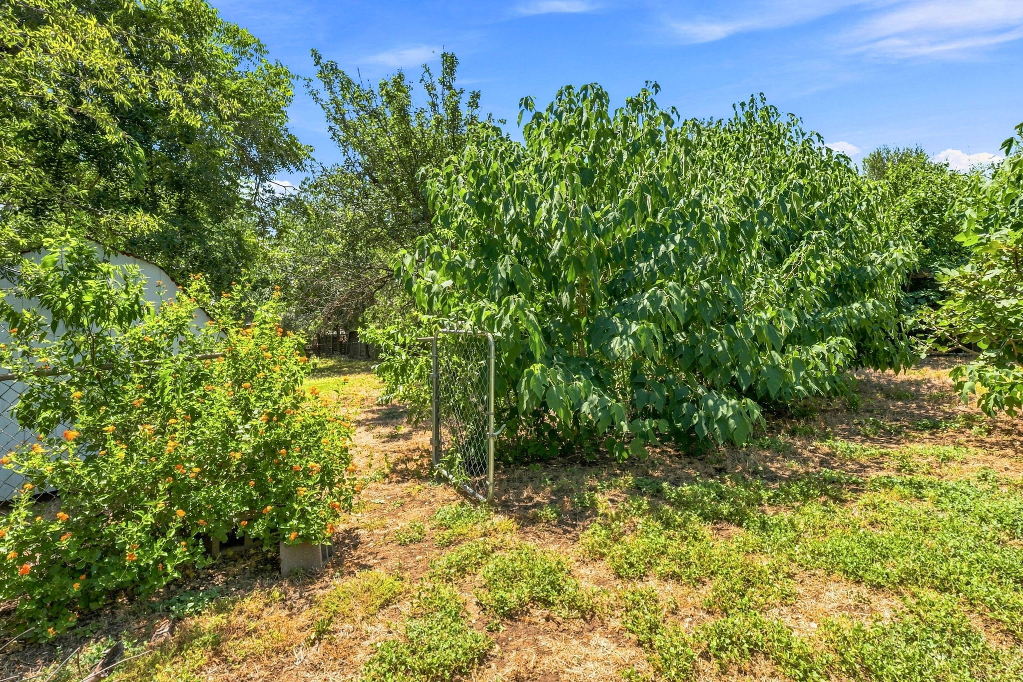 The gate to the property available on Hank Ave. If walking the lot, please use caution.  Roots/uneven terrain, e