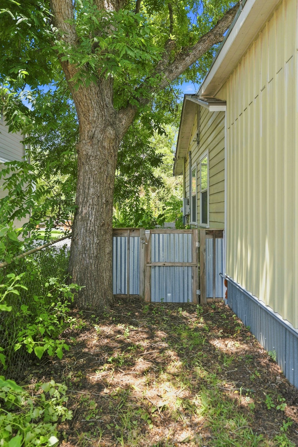 South side of the property.