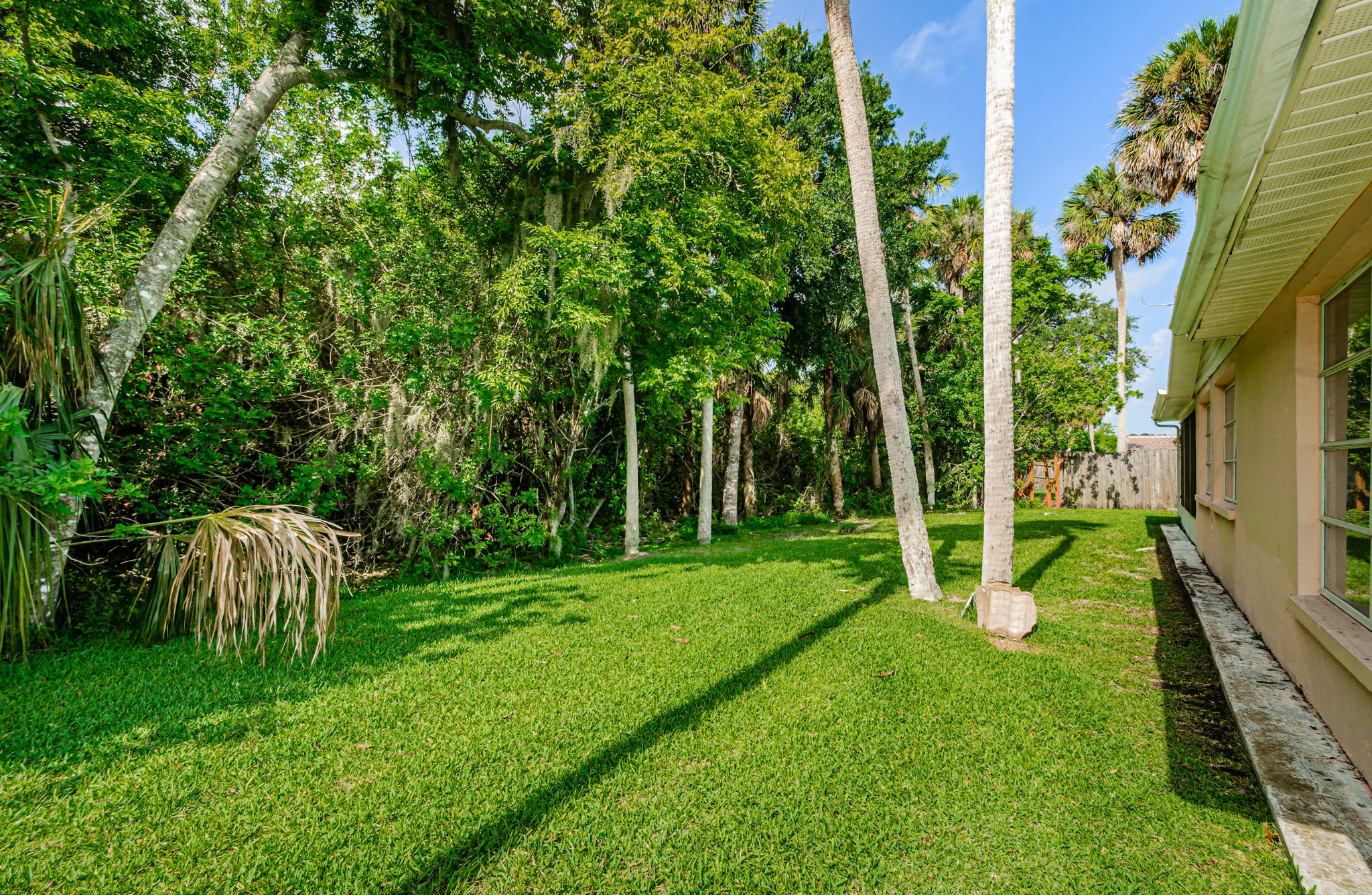 Backyard 1B