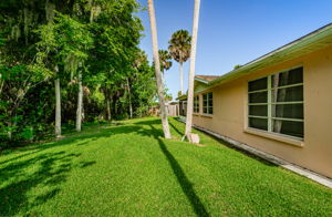 Backyard 1A