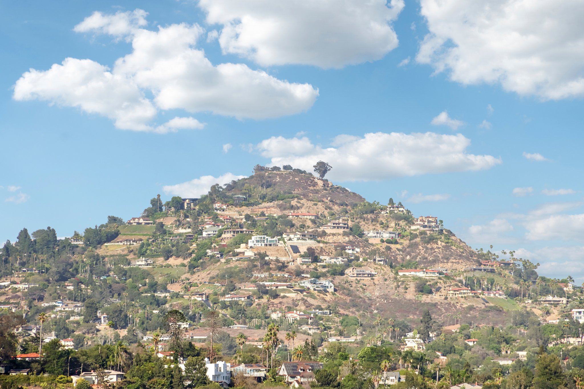 Beverly Dr-S1707-066.jpg