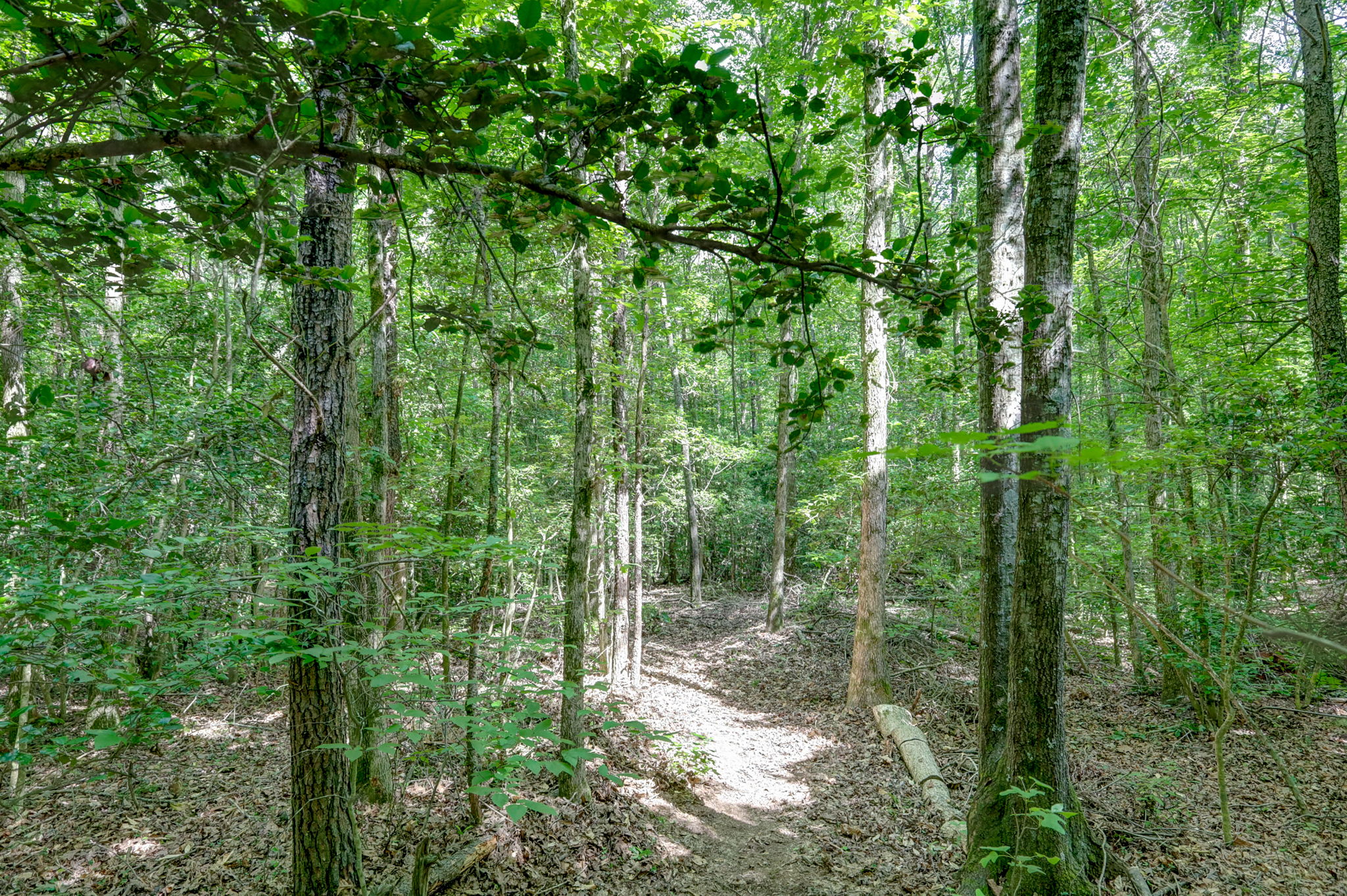  Photo 59