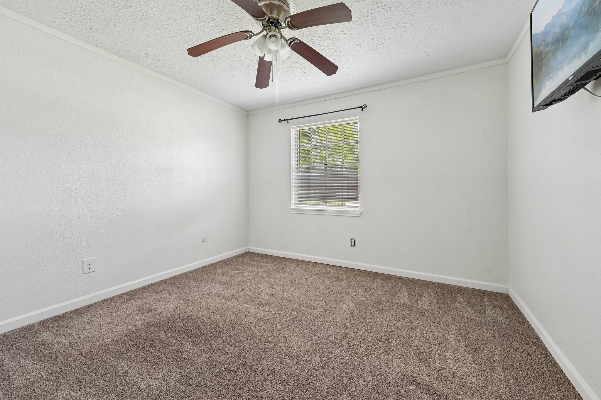 Saffron Ln-S1405-022.jpg