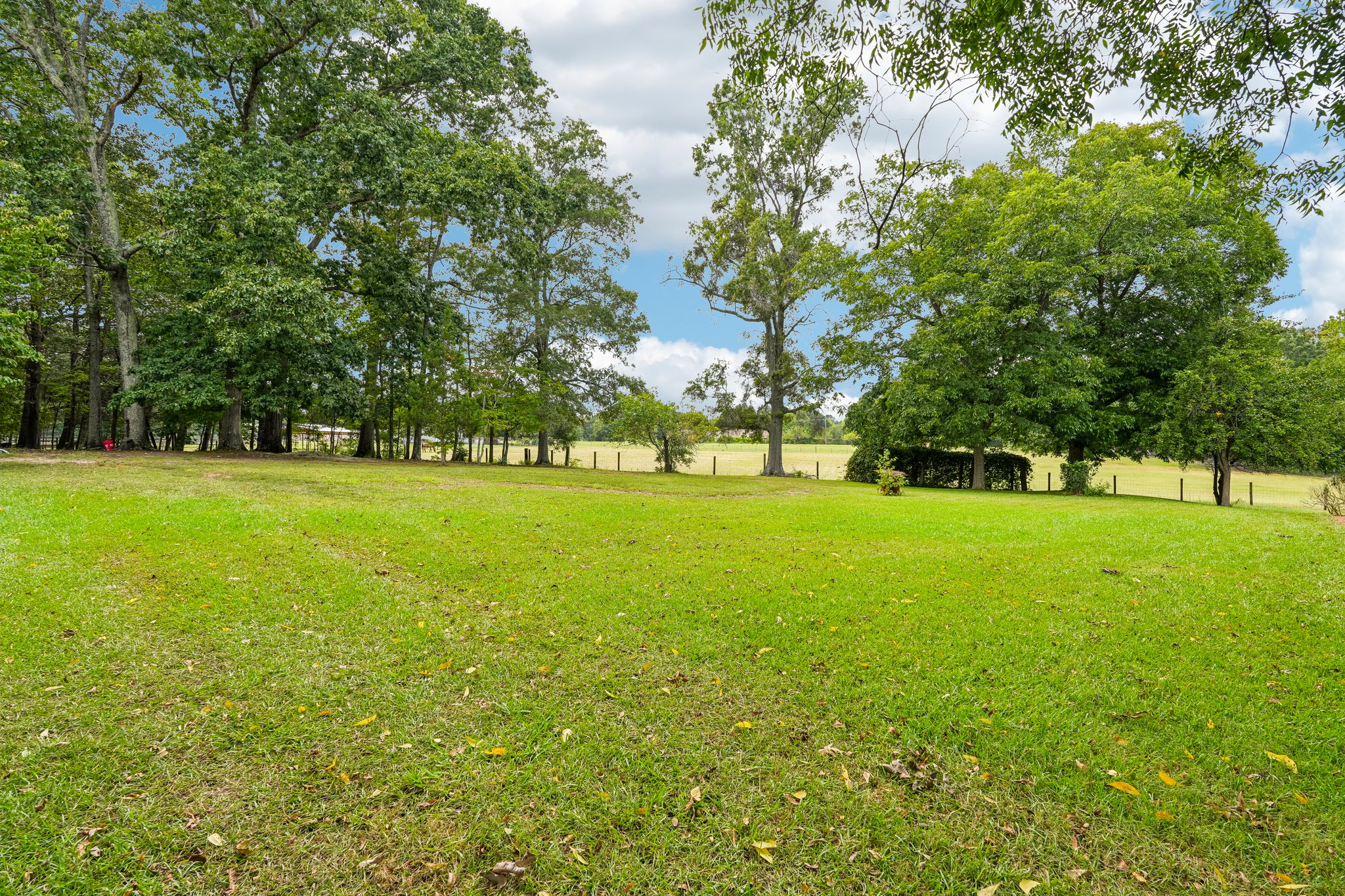 Patrick Rd-S1609-053.jpg