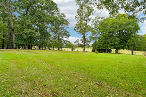 Patrick Rd-S1609-053.jpg