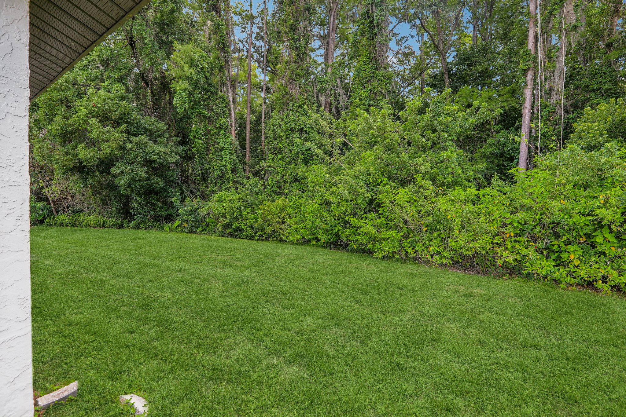 Whitetail Ln-2105-028.jpg