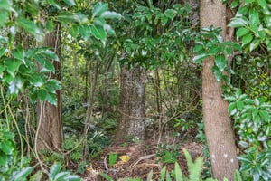 Whitetail Ln-2105-032.jpg