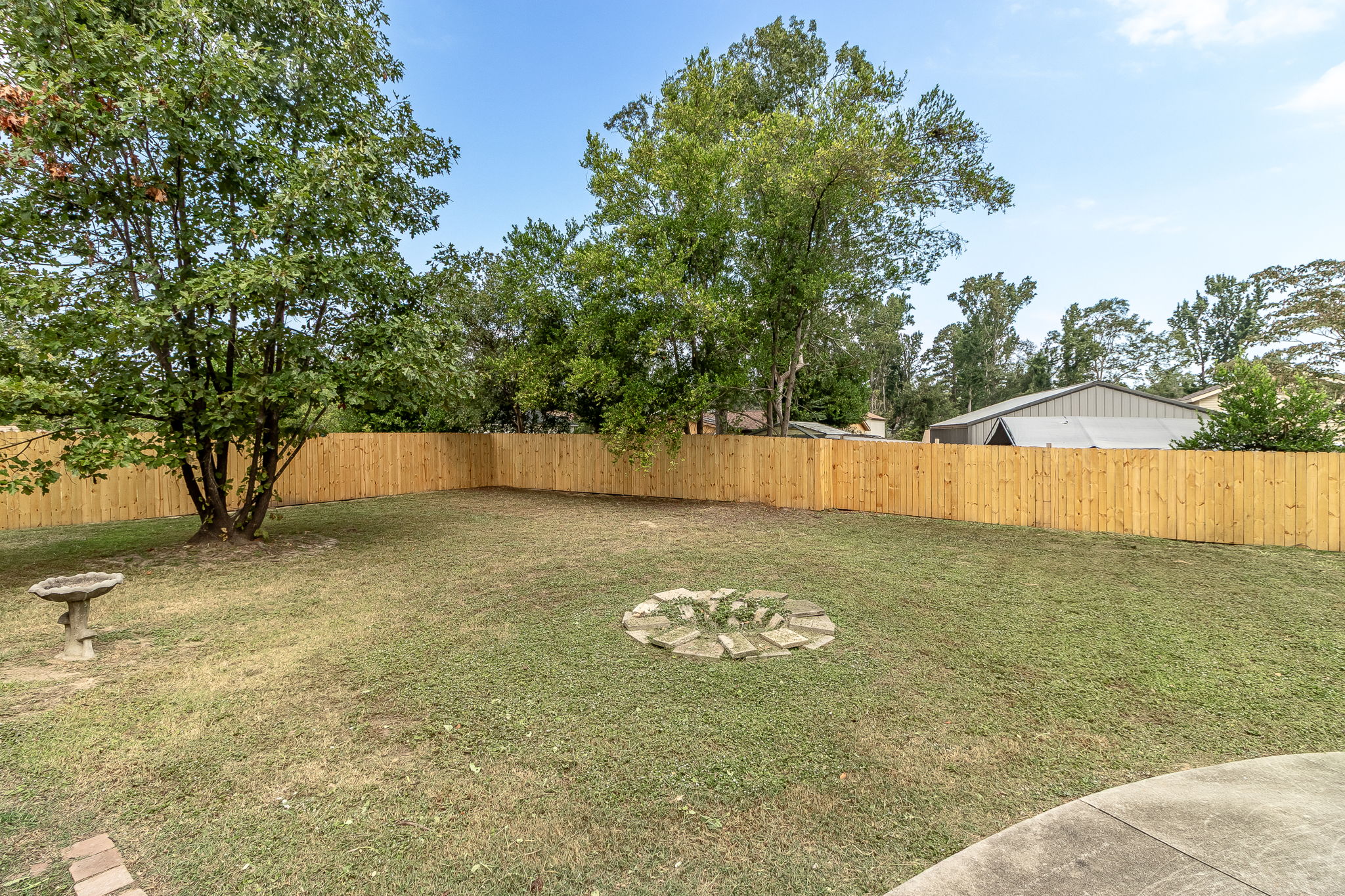 Back Yard