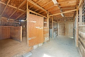  Photo 35