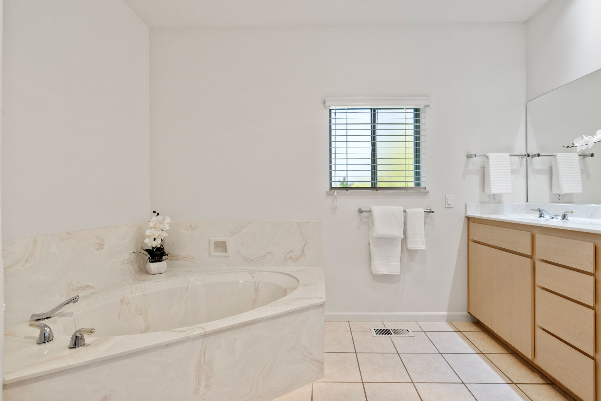 Primary Bathroom (3)