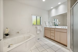 Primary Bathroom (1)