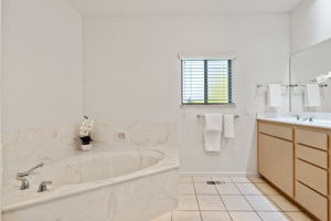 Primary Bathroom (3)