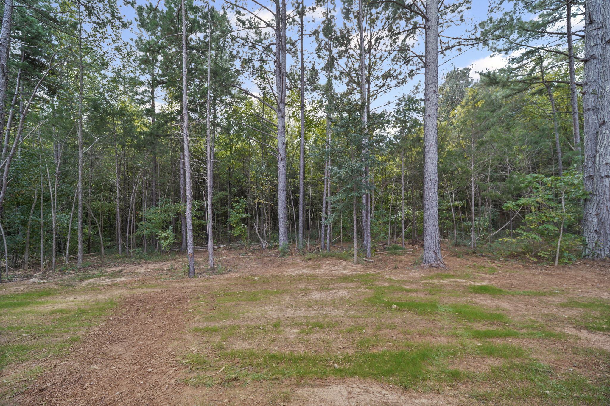 2.33 acre lot with partial clearing and woods
