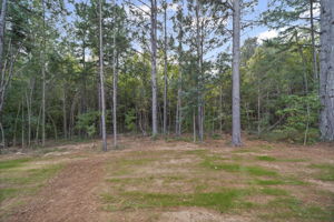 2.33 acre lot with partial clearing and woods