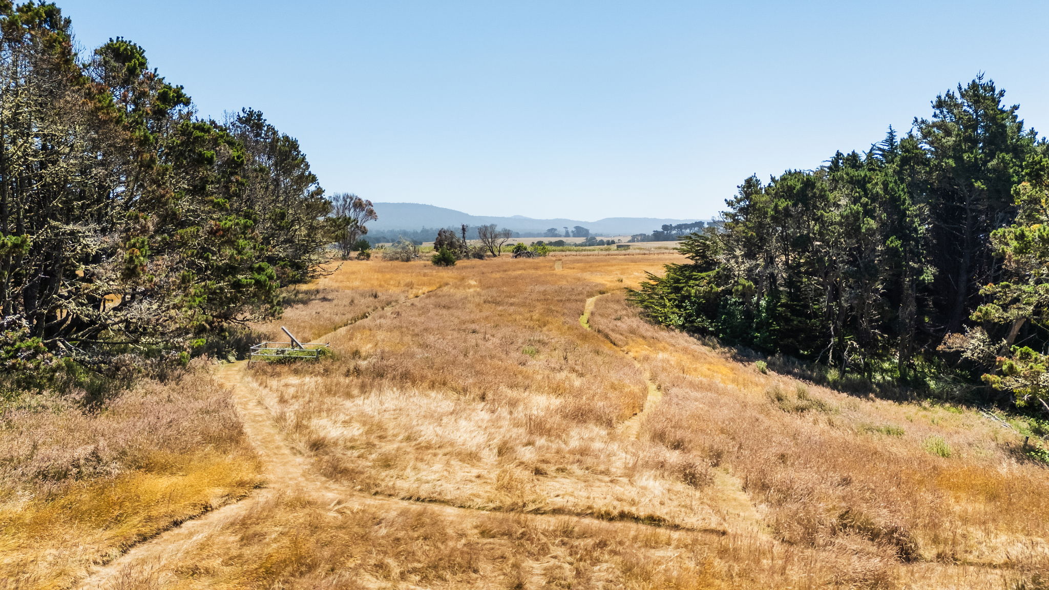 Pasture at back of property