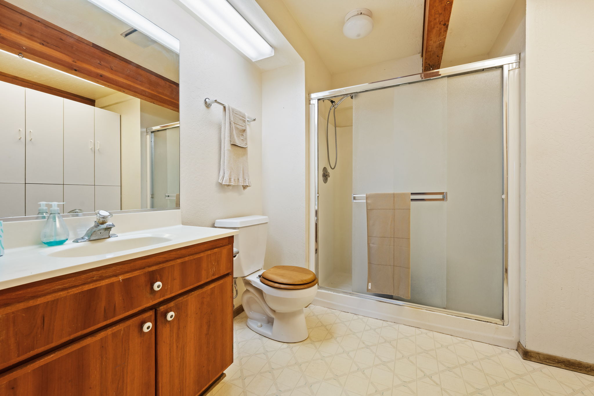 Lower-level bathroom