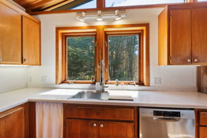 Kitchen sink with view of cypress trees