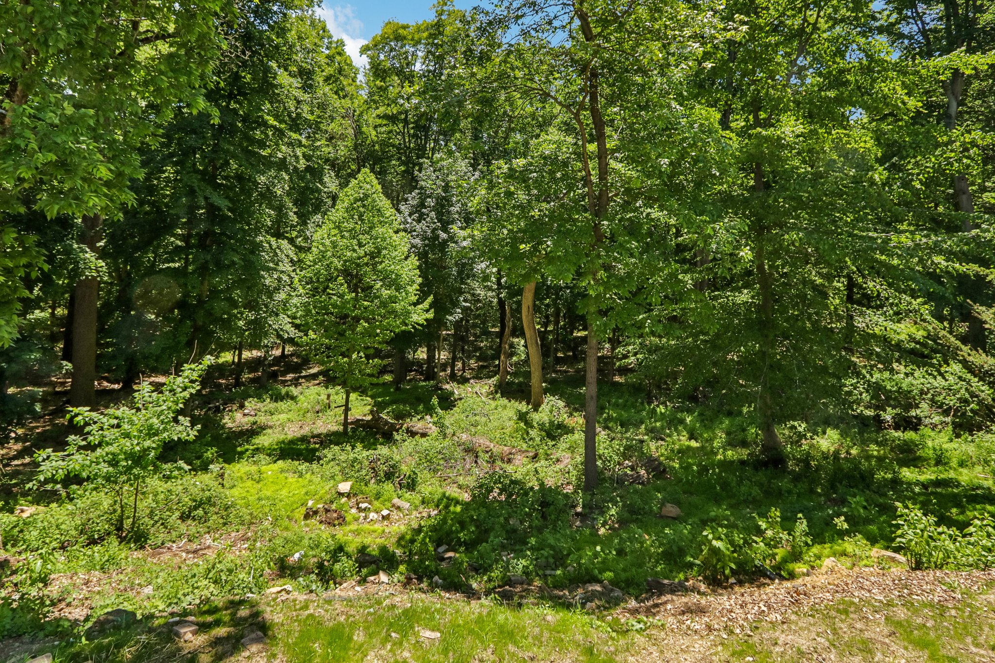 Rocksville Rd-S0406-076.jpg