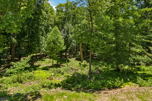 Rocksville Rd-S0406-076.jpg