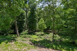 Rocksville Rd-S0406-077.jpg