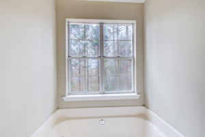 28 Main BR En Suite C Tub Detail