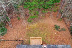 34 Aerial Back Yard Bird's Eye View