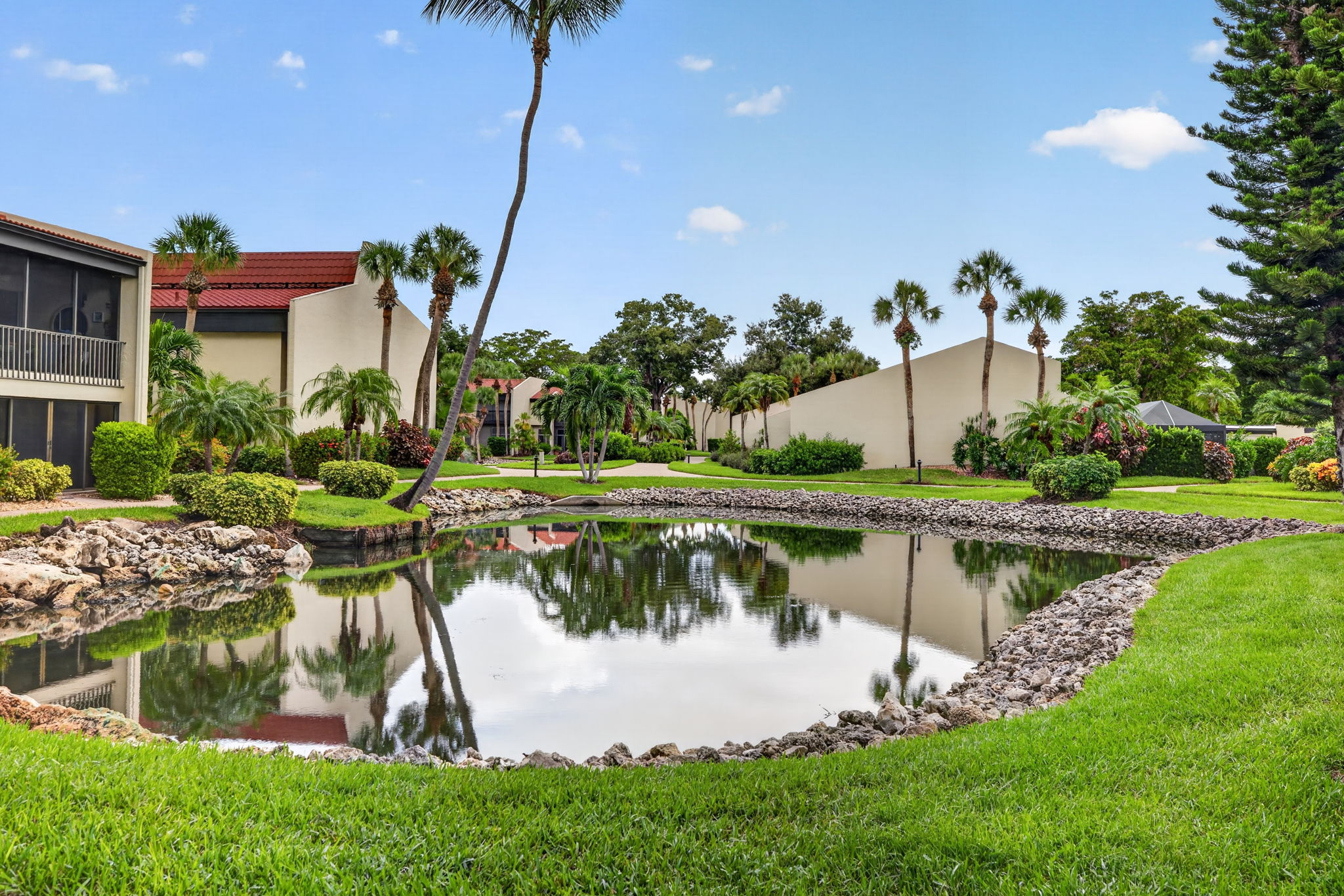 Backyard 2