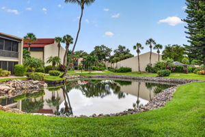 Backyard 2